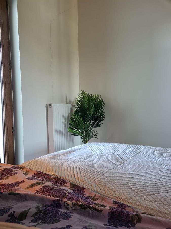 Venice Villa Apartment, Self Check-In 24H, Free Parking Poznan Exterior foto